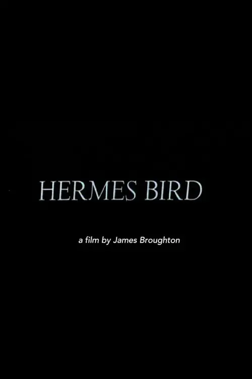 Hermes Bird