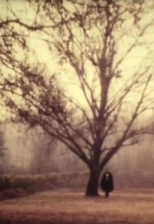 D. Jaime or the Portuguese Night