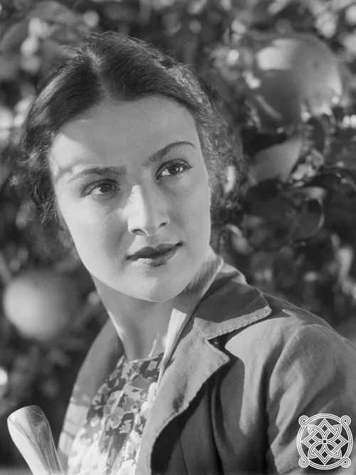 The Lights of Kolchis