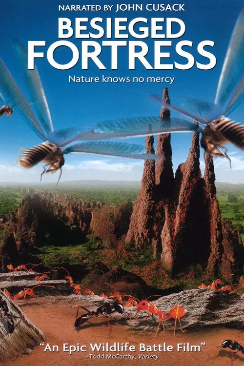 The Besieged Fortress