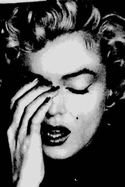 The Marilyn Files
