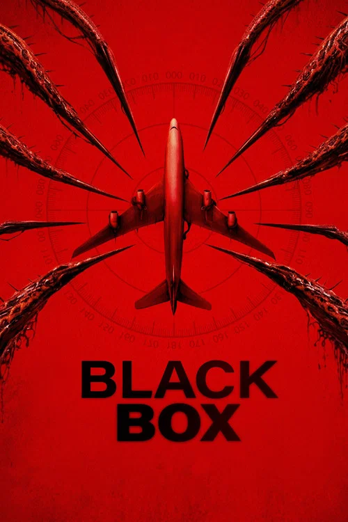 Black Box (Flight 298)