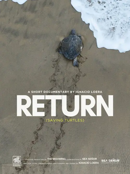 Return: Saving Turtles
