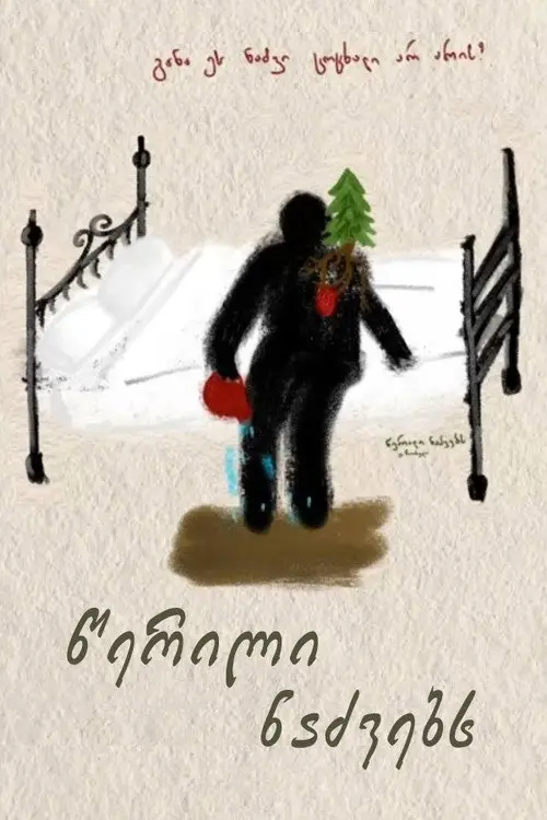 A Letter to Fir Trees