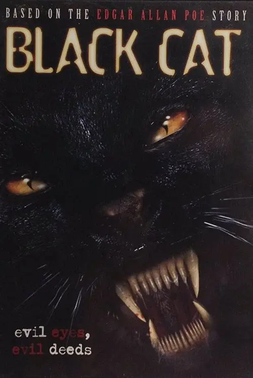 Black Cat