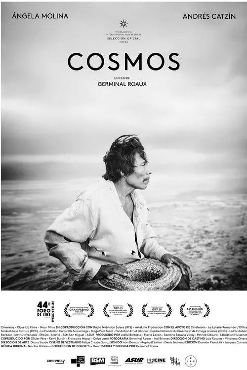 Cosmos