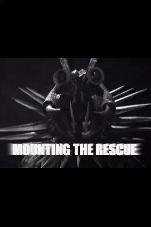 Mounting the Rescue