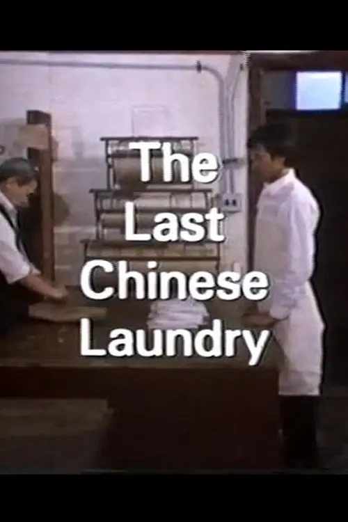 The Last Chinese Laundry