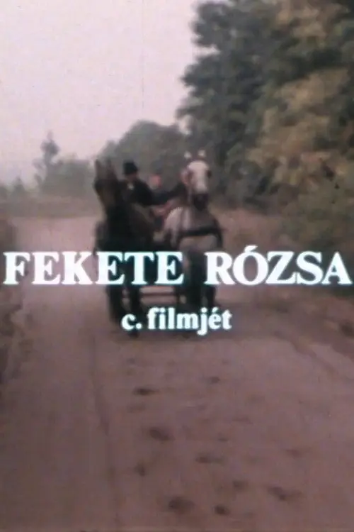 Fekete rózsa