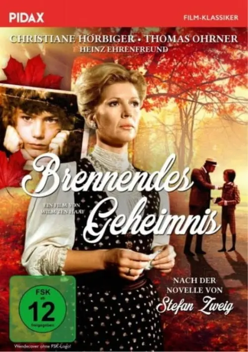 Brennendes Geheimnis