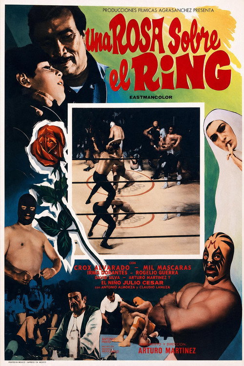 Una rosa sobre el ring