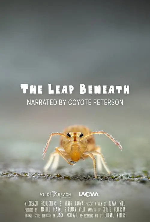 The Leap Beneath
