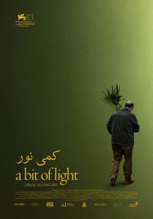 A Bit of Light