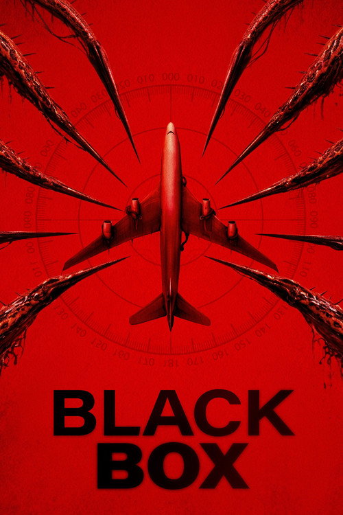 Black Box (Flight 298)
